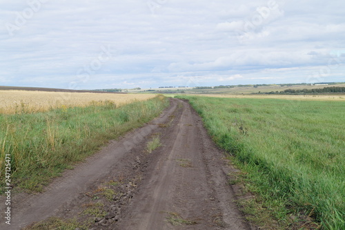 road in the field © Никита Цевелев
