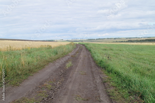 road in the field