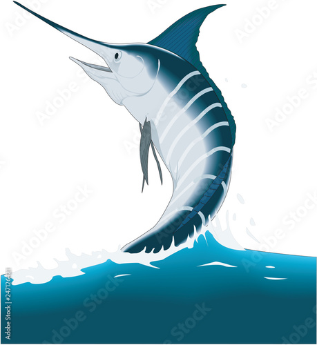 Marlin Breaching Vector Illustration