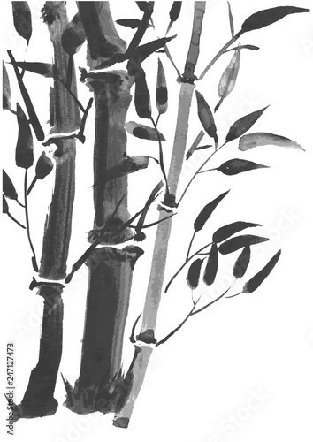 Fototapeta Naklejka Na Ścianę i Meble -  Bamboo branches isolated on the white background. Vector watercolor painting.