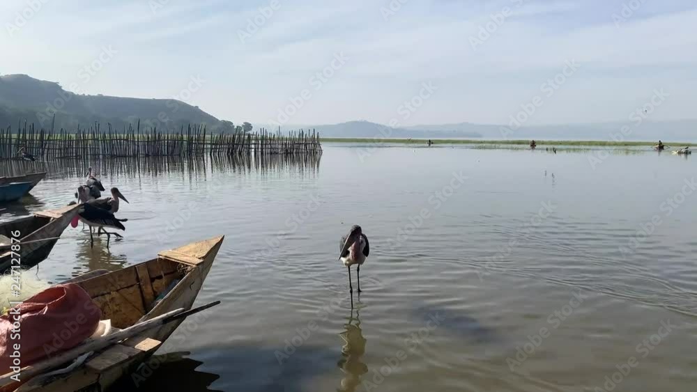 Fisherman and birds getting ready for the day at Lake Ziway Ethiopia December 2018 tc01 Fisherman and birds getting ready for the day at Lake Ziway Ethiopia December 2018 tc01
