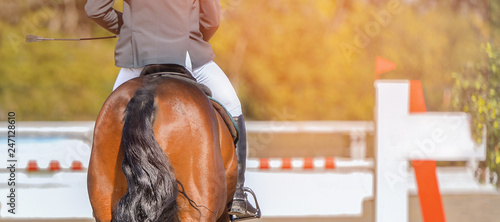 Horse horizontal banner for website header design. Rider in uniform perfoming jump at show jumping competition. Blur sunlight green trees as background.