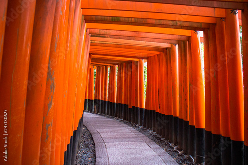 Fushimi Inari Shrine