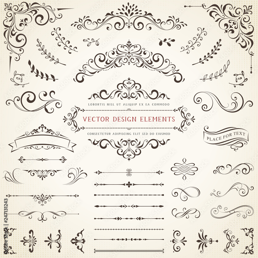 Ornate vintage design elements with calligraphy swirls, swashes, ornate motifs and scrolls. Vector illustration. - obrazy, fototapety, plakaty 
