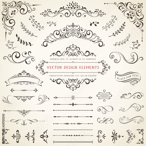 Ornate vintage design elements with calligraphy swirls, swashes, ornate motifs and scrolls Fototapet