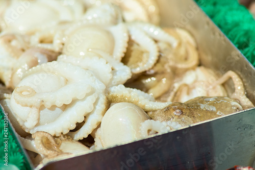 Close-up of fresh octopus tentacles on the counter of an Italian fish market. Food and cuisine