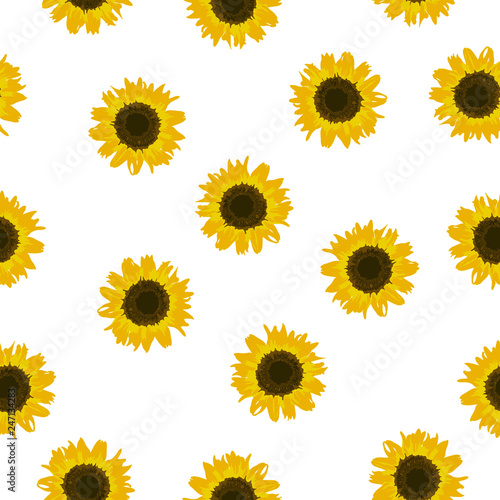 Fototapeta Naklejka Na Ścianę i Meble -  Seamless pattern yellow Sunflower on white background, vector eps 10