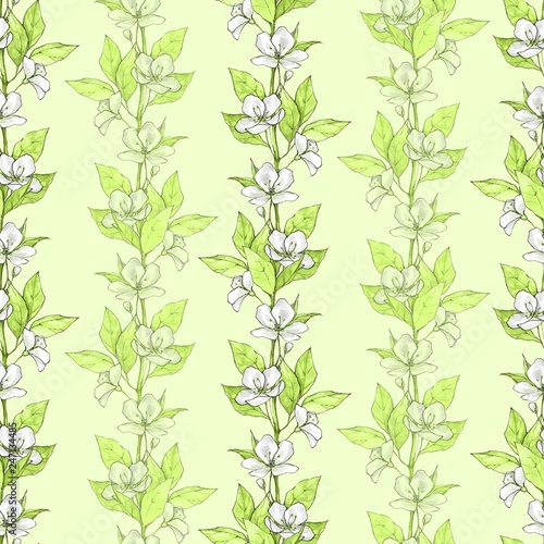 Floral seamless pattern. Watercolor background with white flowers and green leaves