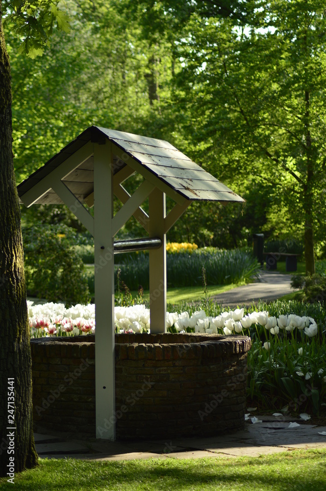 spring flowers in the garden