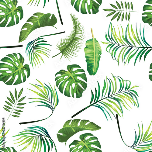 tropical design leaf pattern background