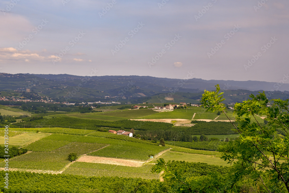Panoramic view of hills and valleys in Langhe hills, an Italian Unesco World Heritage in springtime, Piedmont, Italy
