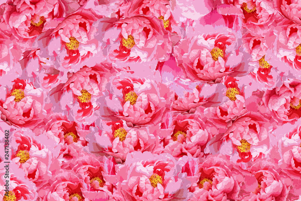 たくさんの牡丹の花 Stock イラスト Adobe Stock