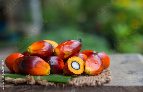 Palm Oil fruit of vegetable oil on old wooden floor.