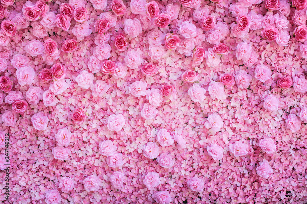 Colorful multicolored ornamental of beautiful pink roses blooming patterns group with carnation texture on wall for background