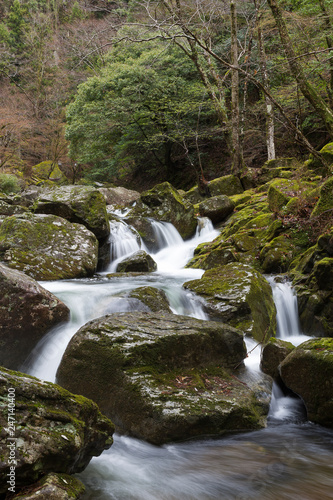 Cascades in Akame 48 Falls  Japan