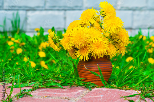 Fototapeta Naklejka Na Ścianę i Meble -  The first spring dandelions flowers in an earthenware vase on a background of green grass and brick wall background natural
