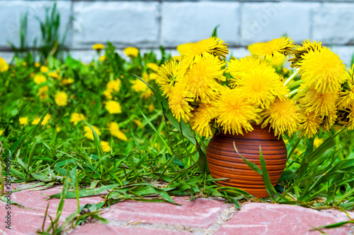 Fototapeta Naklejka Na Ścianę i Meble -  The first spring dandelions flowers in an earthenware vase on a background of green grass and brick wall background natural

