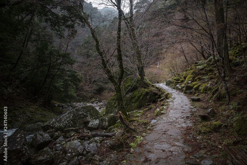 Path through Akame 48 Falls, Japan Path through Akame 48 Falls, Japan
