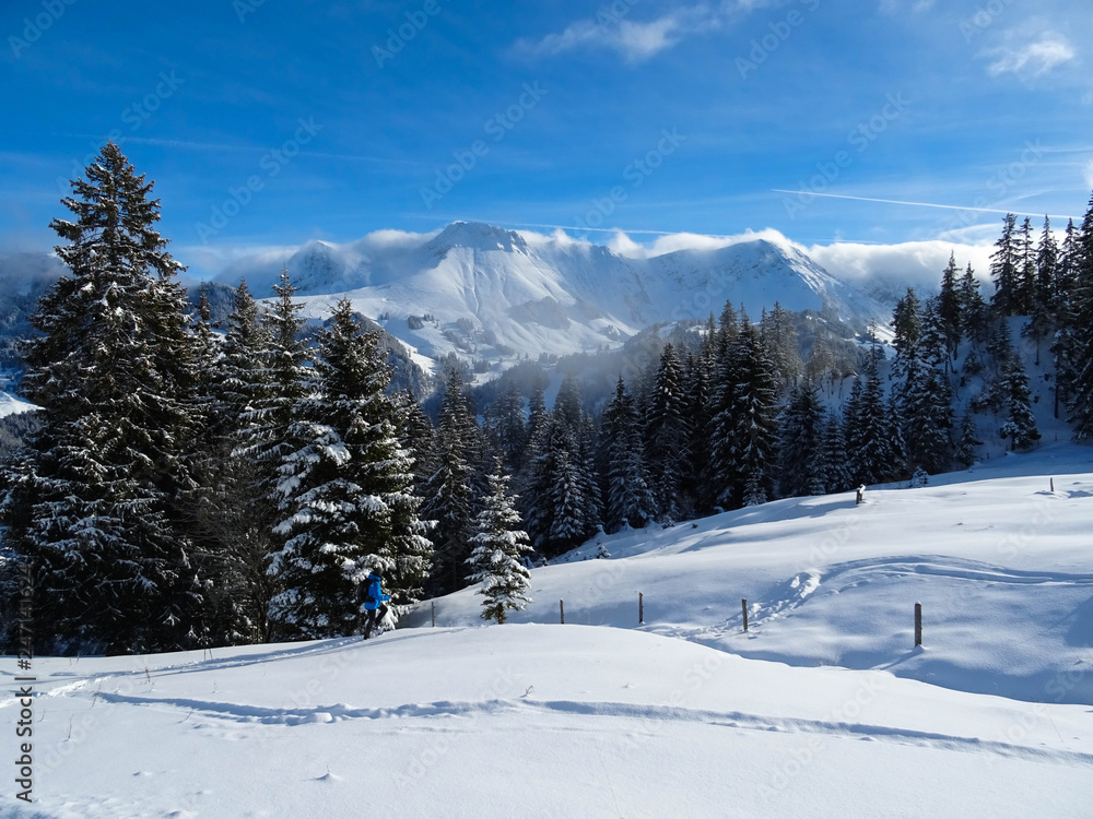 Fototapeta premium widok na pokryty śniegiem szczyt Kaiseregg, Alpy Szwajcarskie, zimowa wędrówka ze Schwarzsee do Fuchses Schwyberg, kanton Fribourg (Freiburg), Szwajcaria, Europa