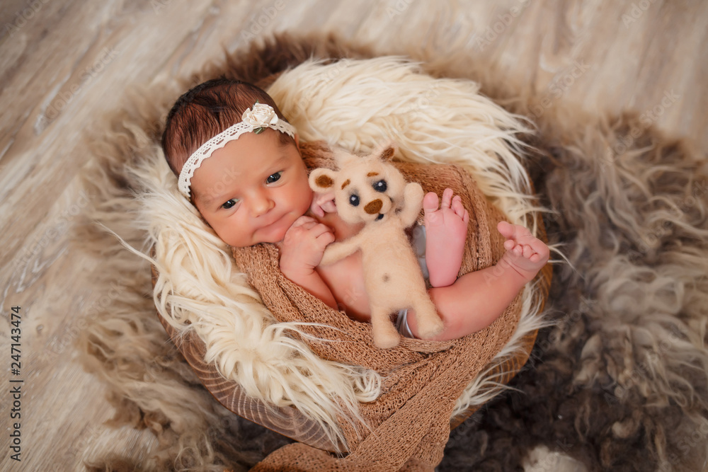 Newborn baby girl with a lion toy in her arms sleeps in the basket on the floor; brown background Newborn baby girl with a lion toy in her arms sleeps in the basket on the floor; brown background