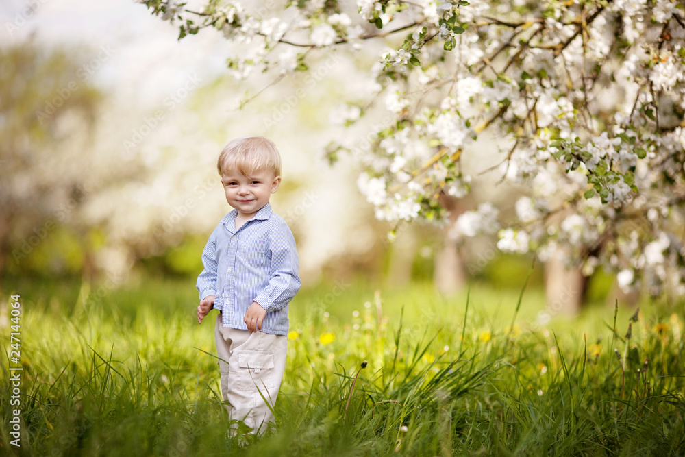Cute little boyin the garden with blosoming apple trees. Smiling boy having fun and enjoying Cute little boyin the garden with blosoming apple trees. Smiling boy having fun and enjoying