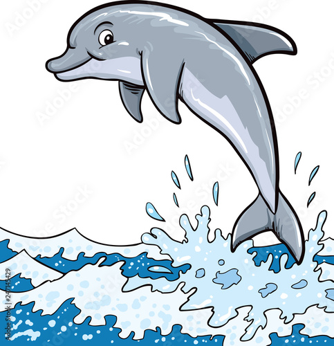 The dolphin who is jumping out of sea water