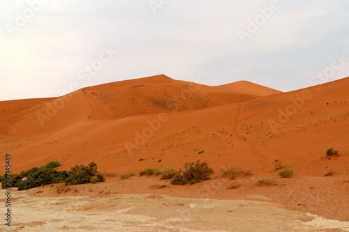 Big Daddy sand dune Sossusvlei - Namibia Africa