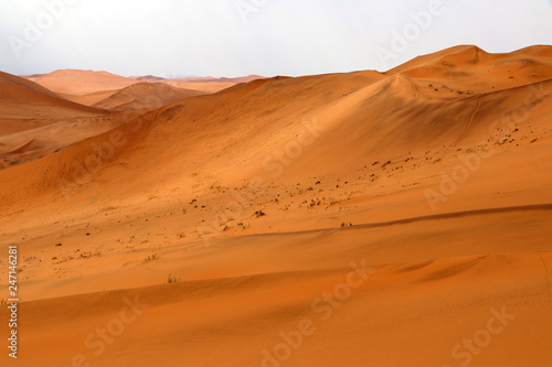 Big Daddy sand dune Sossusvlei - Namibia Africa