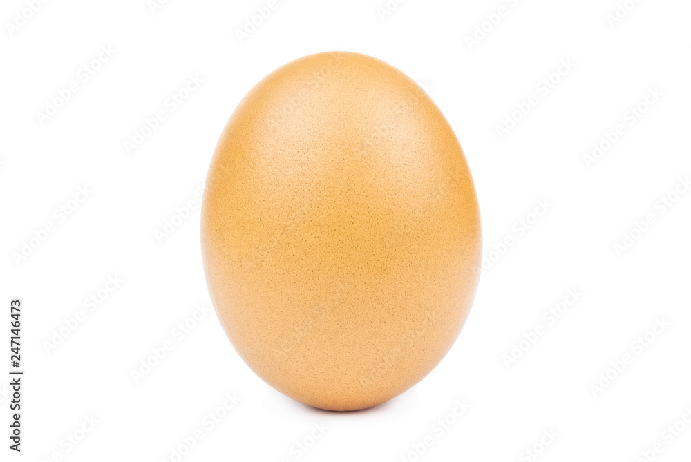 Egg isolated white background cutout Egg isolated white background cutout