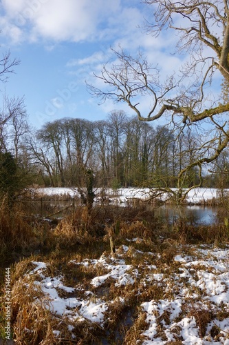 Winter Landscape