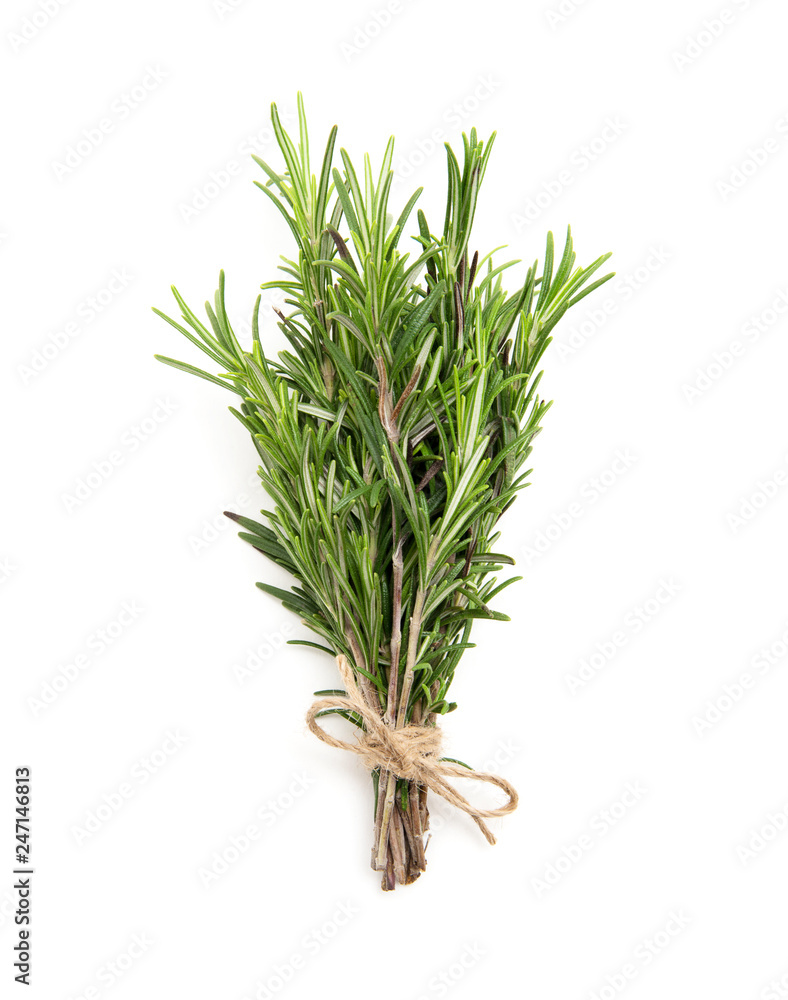 Fototapeta premium Rosemary bound on a white background