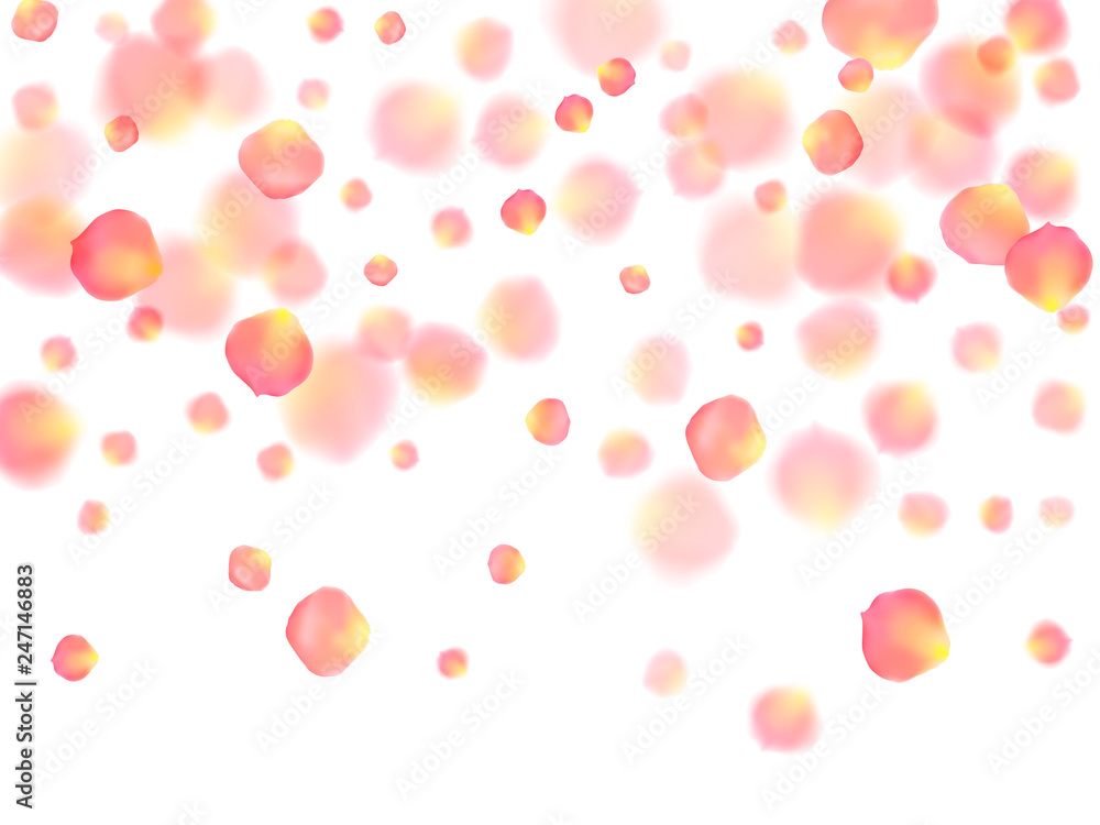 Rose gold petals flying cosmetics vector background.