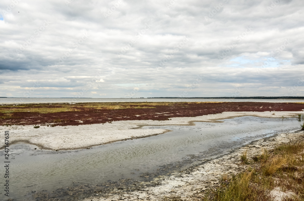 Landscape of dead salt lake. Altai, Russia