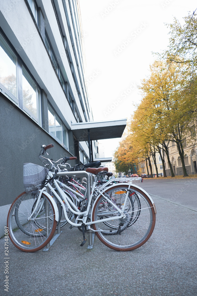 Stylish bicycle parking in Tallinn