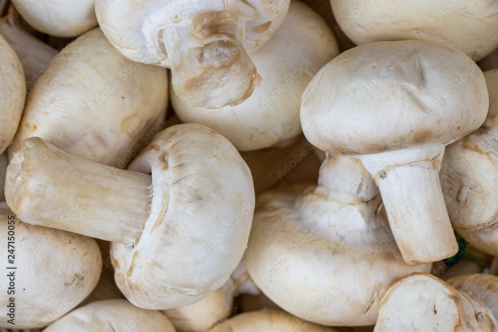 Fresh raw mushroom a wooden basket closeup top view Fresh raw mushroom a wooden basket closeup top view