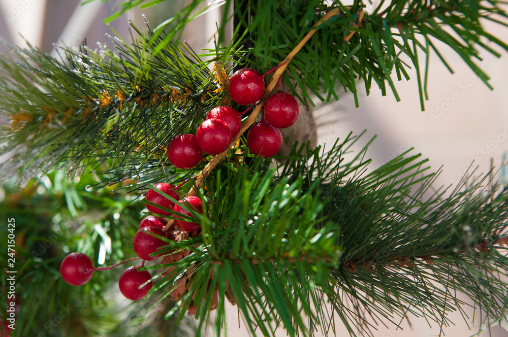 decorative green pine branches and red berries decorative green pine branches and red berries