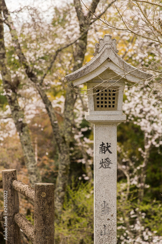 Tōrō lantern in Japan © Matt Palmer