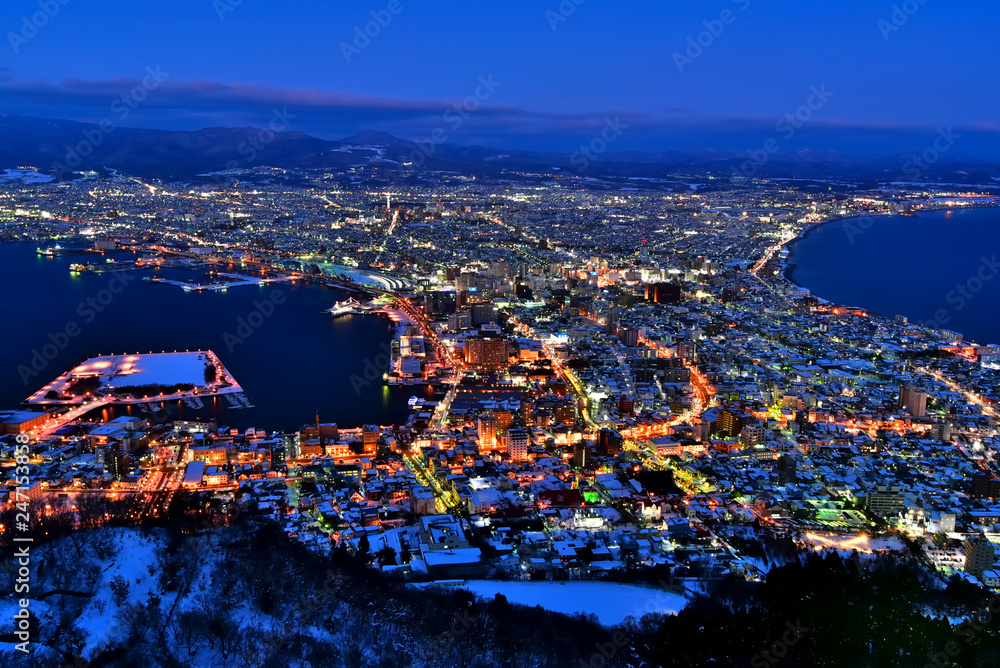 Fototapeta premium 冬の函館山からの夜景