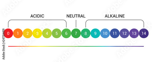 pH scale indicator chart diagram acidic alkaline measure. pH analysis vector chemical scale value test