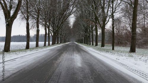 road in winter forest © Fotolijn
