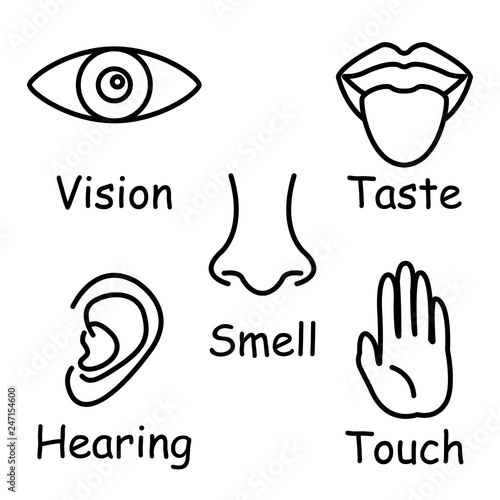 Five sense icon set. vector.