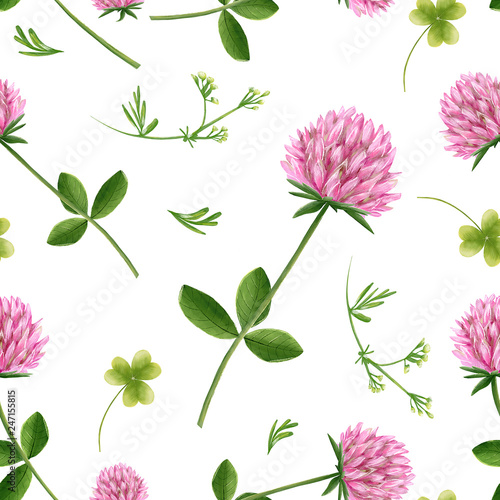 pattern of drawings of wild flowers clover. pink clover meadow flowers
