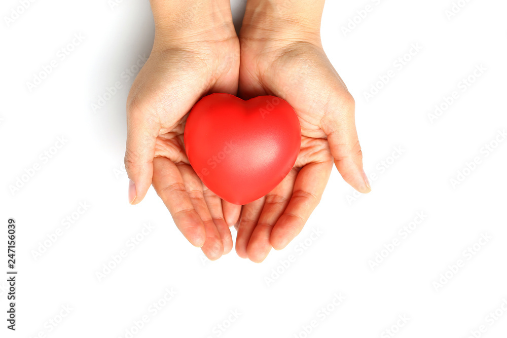red heart in hands red heart in hands