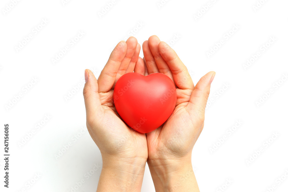 Fototapeta premium red heart in hands