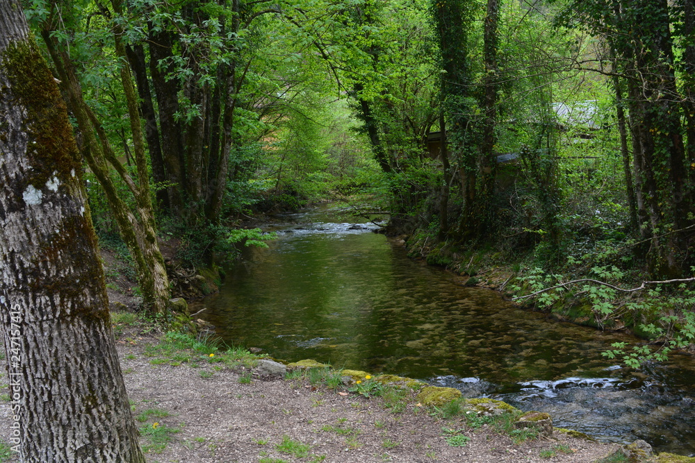 Naklejka premium riviere