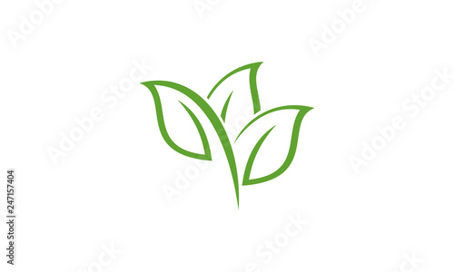 nature green leaf icon