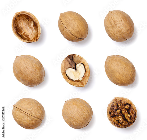 Collection of walnuts isolated on white background. Top view. 