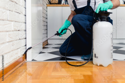 Tablou pe pânză Exterminator in work wear spraying pesticide with sprayer.