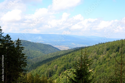 view of green mountains and sky