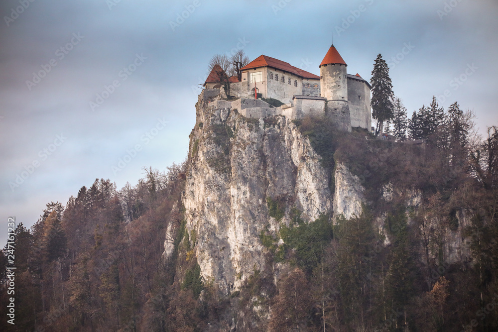 Castle of Bled, Slovenia